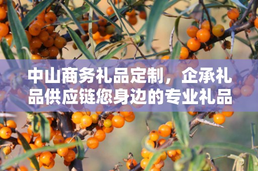 中山商务礼品定制，企承礼品供应链您身边的专业礼品定制公司