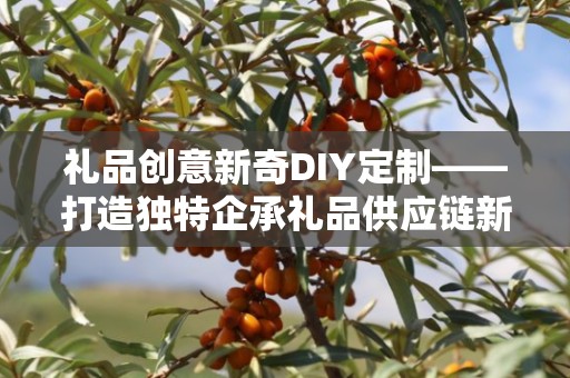 礼品创意新奇DIY定制——打造独特企承礼品供应链新风尚